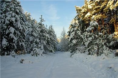 《使命召唤：黑色行动6》双重经验值周末即将开启